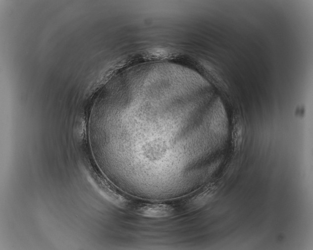 X0000115020459200911091446