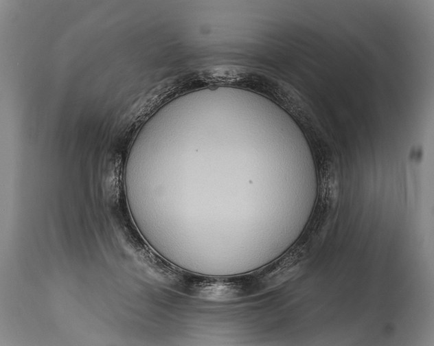 X0000115020460200911091446