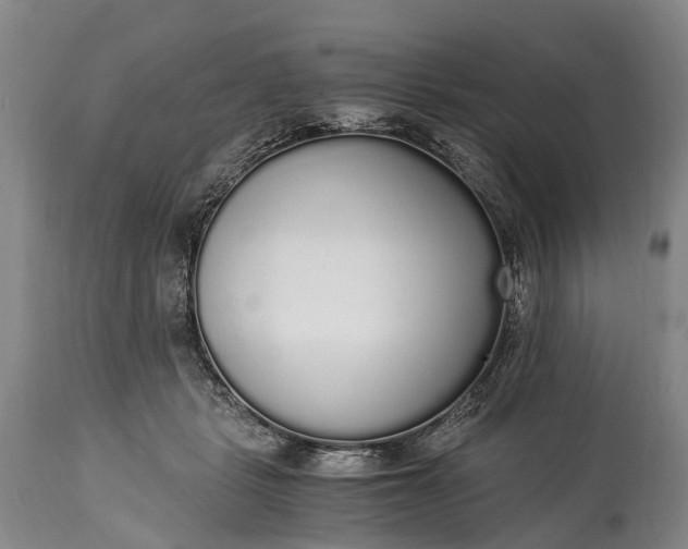 X0000115020461200911091446