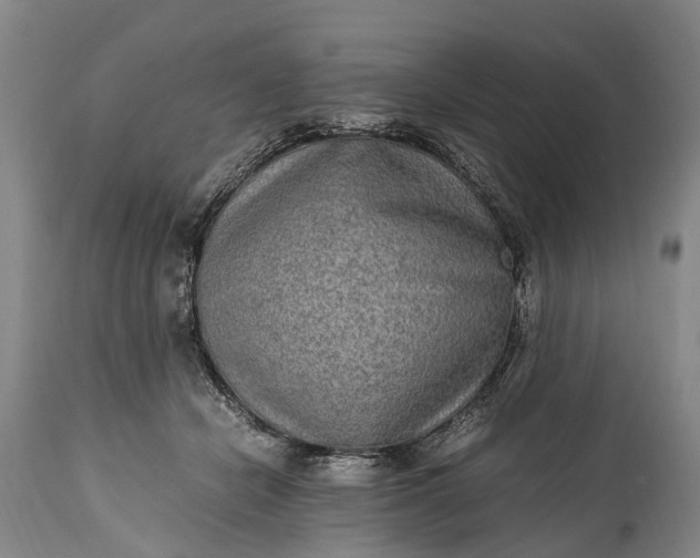 X0000115020462200911091446