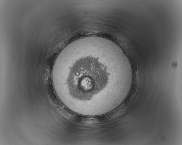 X0000115020463200911091446