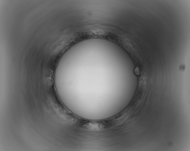 X0000115020464200911091446