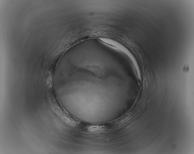 X0000115020465200911091446