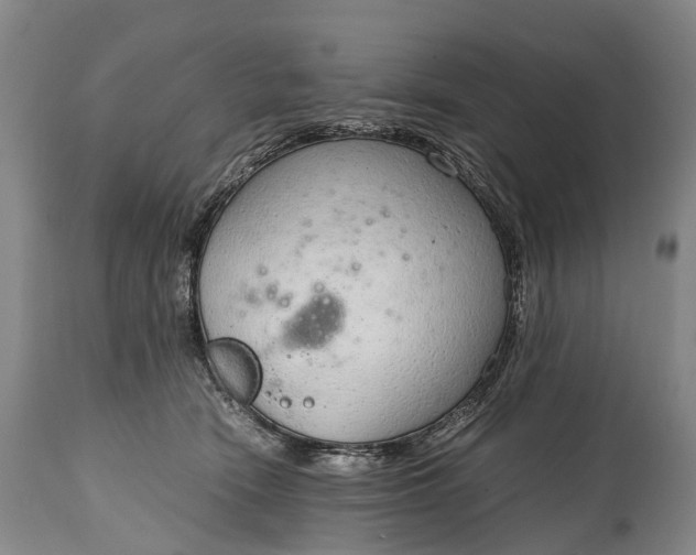 X0000115020466200911091446