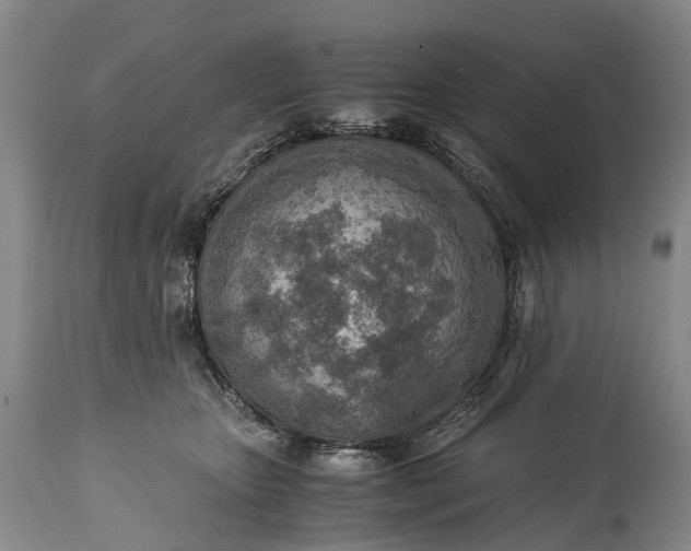 X0000115020467200911091446