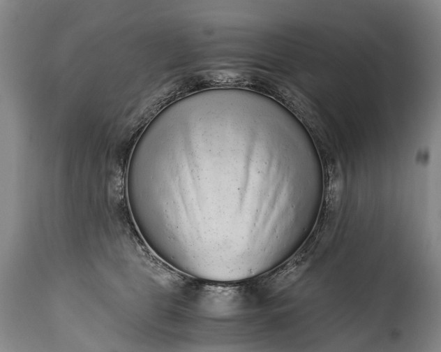 X0000115020469200911091446