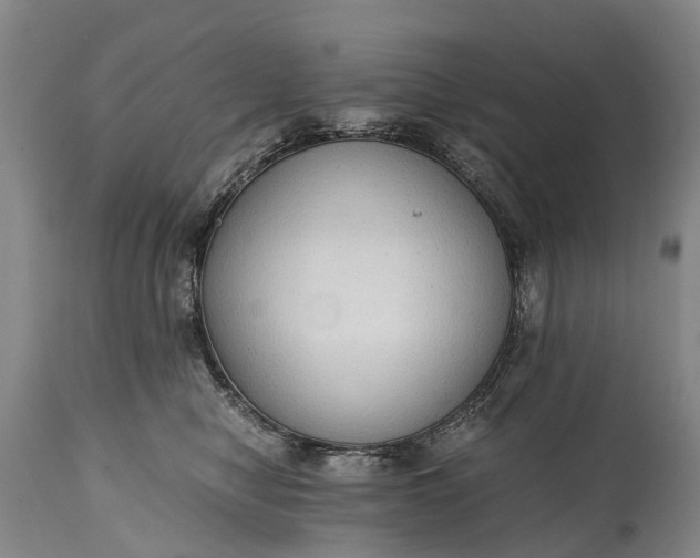 X0000115020470200911091446