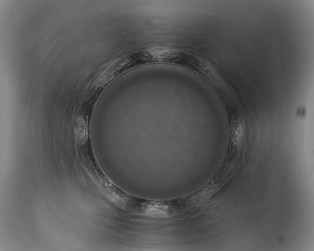 X0000115020471200911091446