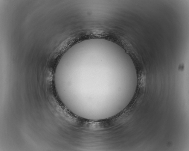 X0000115020472200911091446