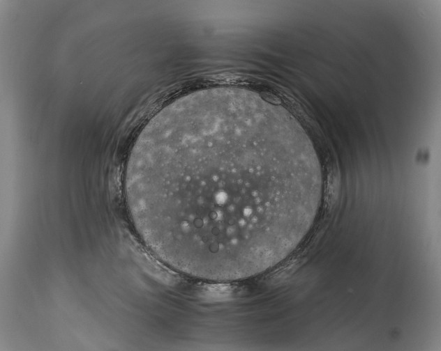 X0000115020473200911091446