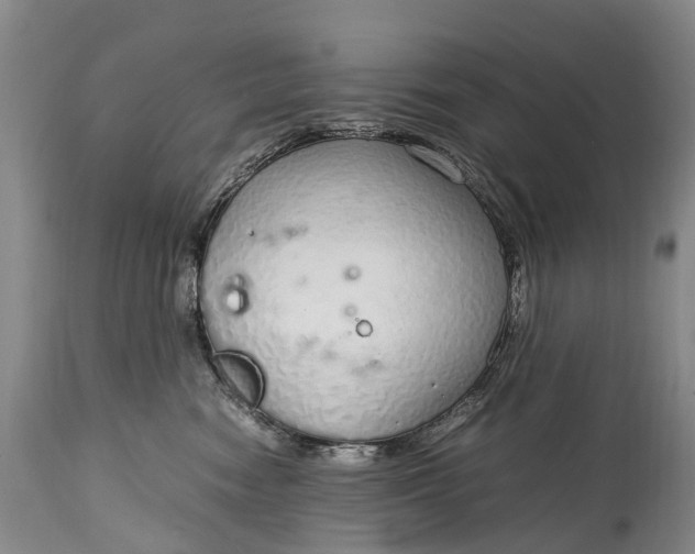 X0000115020474200911091446