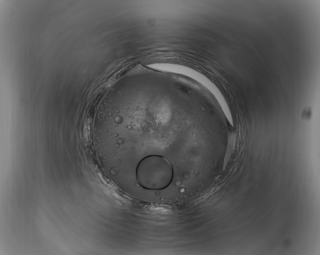 X0000115020475200911091446