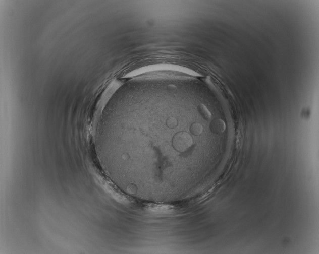 X0000115020476200911091446