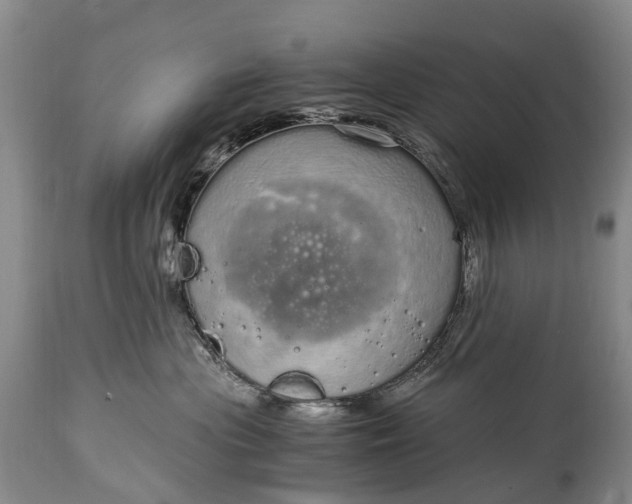 X0000115020477200911091446