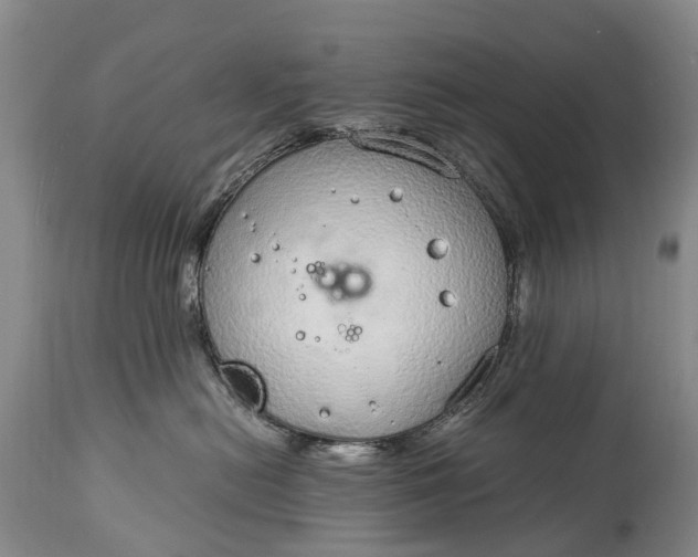 X0000115020478200911091446