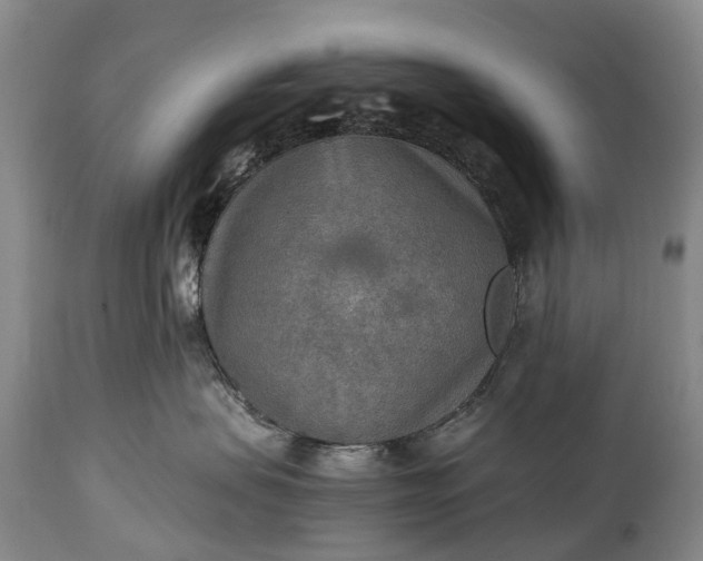 X0000115020479200911091446