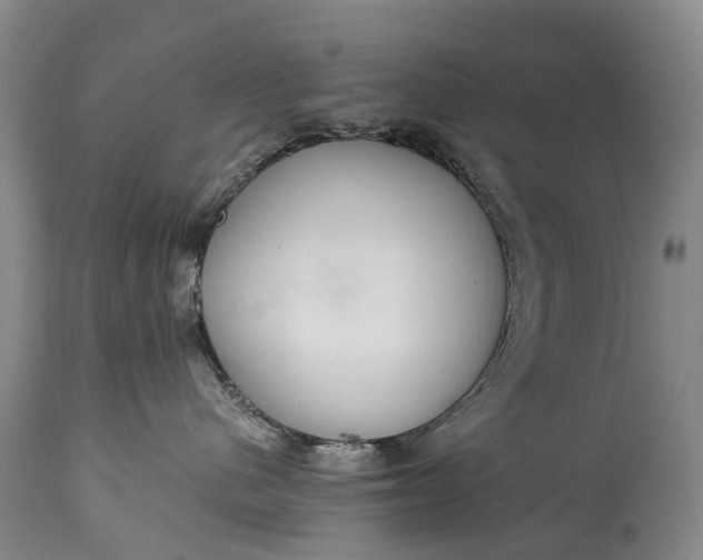 X0000115020480200911091447