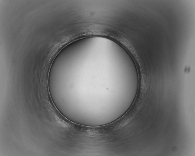 X0000115020481200911091446