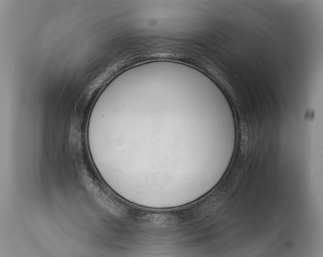 X0000115020482200911091446