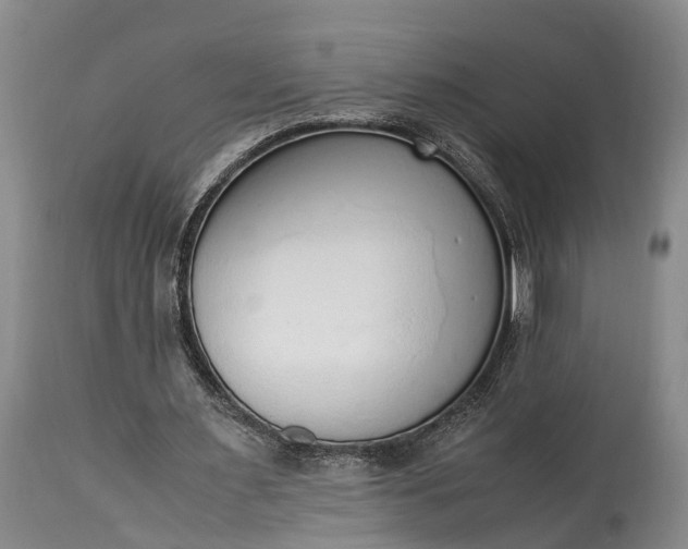 X0000115020483200911091446