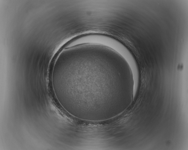 X0000115020484200911091446