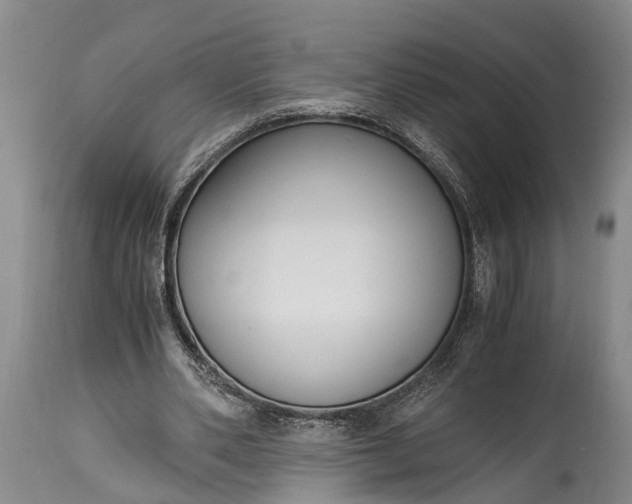 X0000115020486200911091446