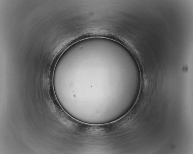 X0000115020487200911091446