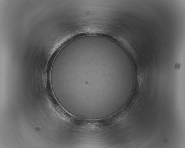 X0000115020488200911091446