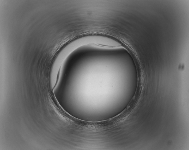 X0000115020489200911091446