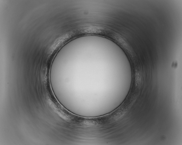 X0000115020490200911091446