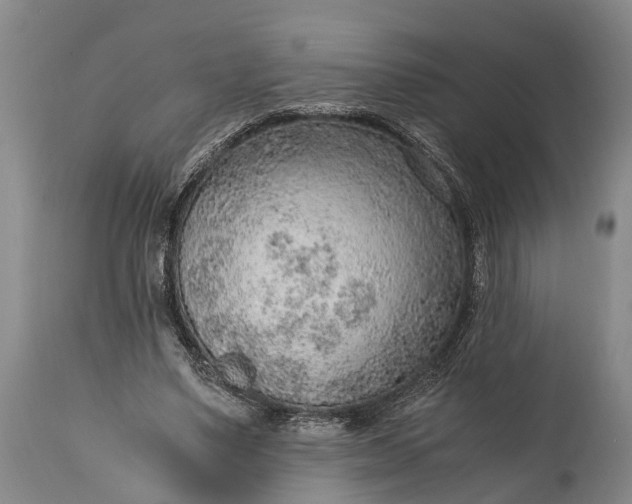 X0000115020491200911091446