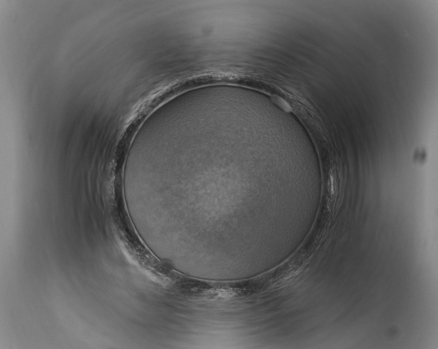 X0000115020492200911091446