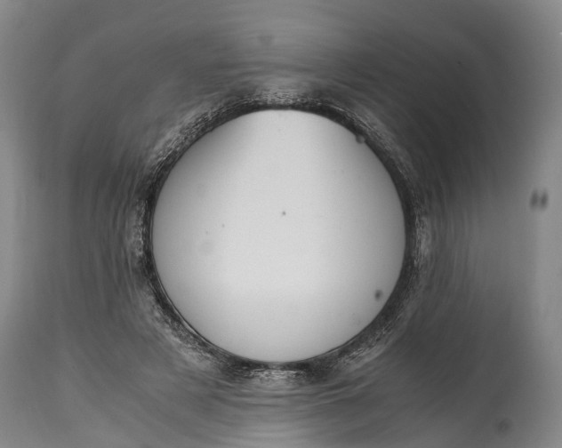 X0000115020497200911091445