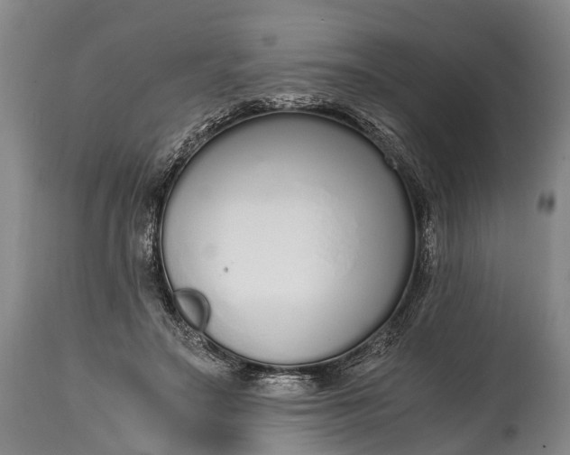 X0000115020499200911091445