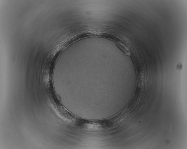 X0000115020500200911091445