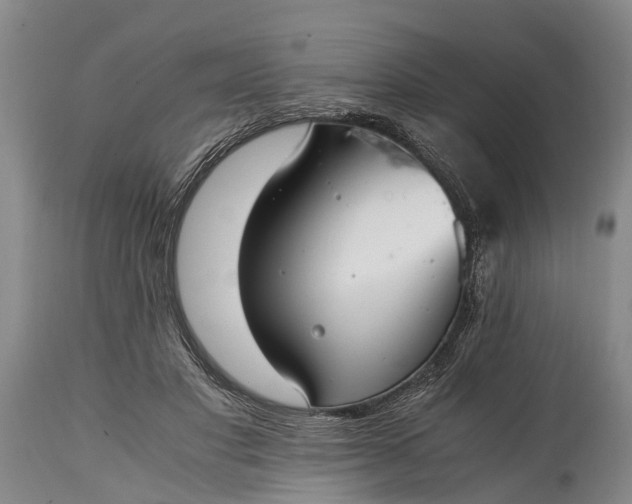 X0000115020501200911091445