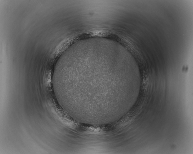 X0000115020502200911091445