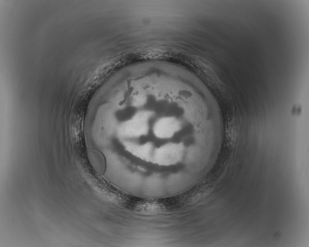 X0000115020503200911091445