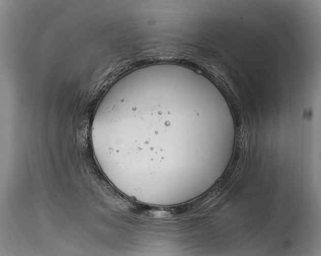 X0000115020509200911091445