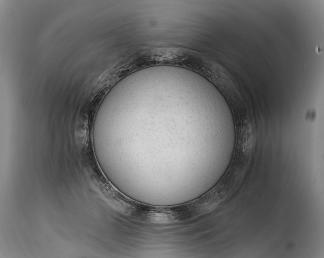 X0000115020510200911091445