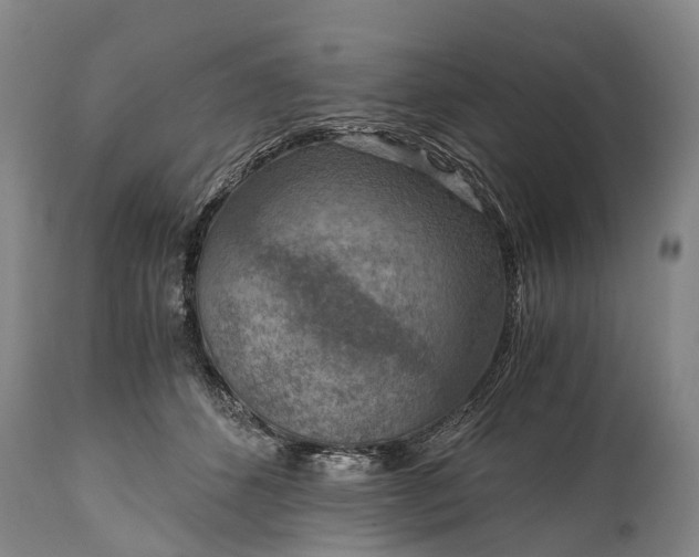 X0000115020512200911091445