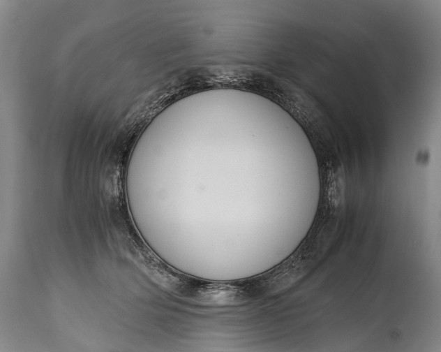 X0000115020514200911091445