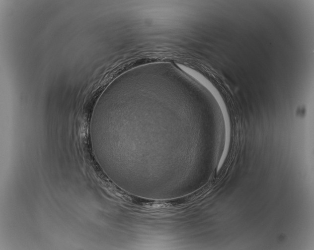 X0000115020517200911091445