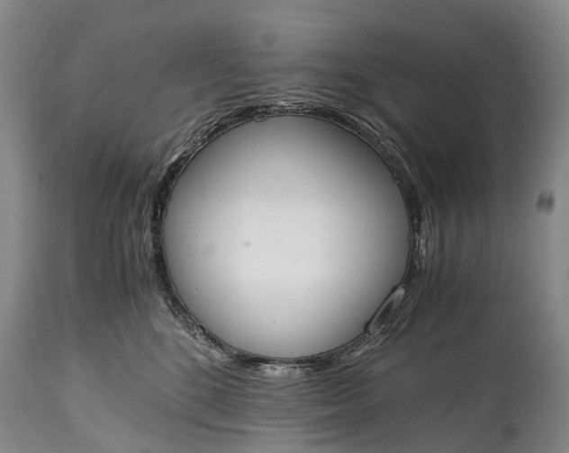 X0000115020520200911091445