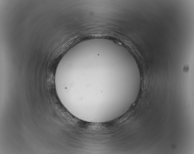 X0000115020521200911091445