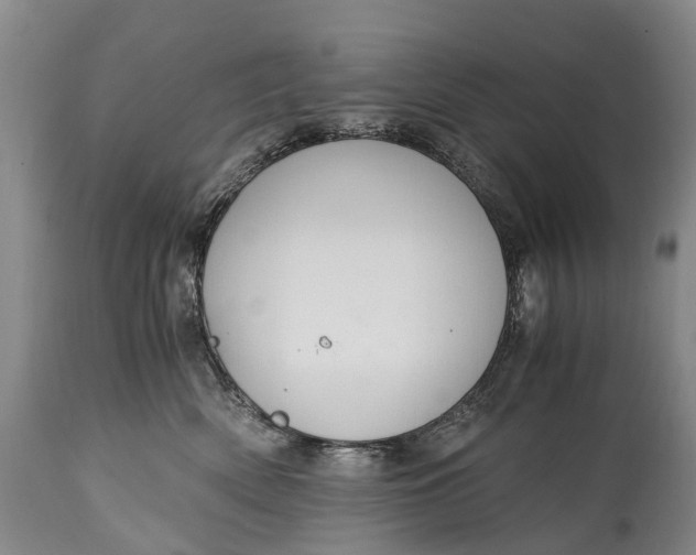 X0000115020522200911091445