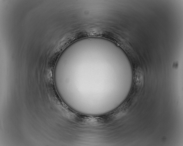 X0000115020523200911091445