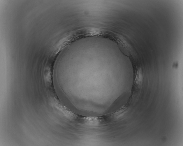 X0000115020524200911091445