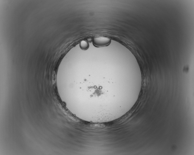 X0000115020525200911091445