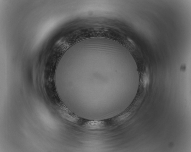 X0000115020526200911091445